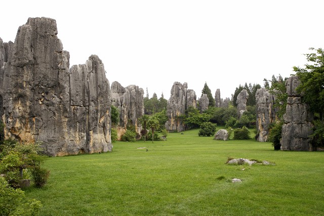 拼多多补单软件