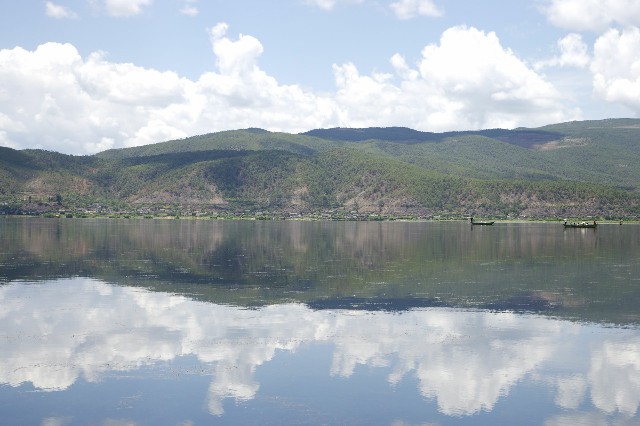 拼多多补单软件