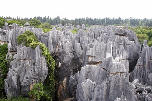 拼多多补单软件