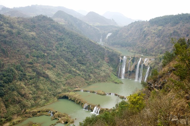 拼多多补单软件