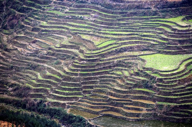 拼多多补单软件