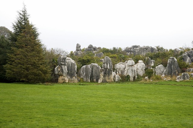 拼多多补单软件