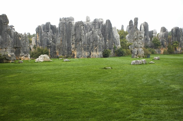 拼多多补单软件