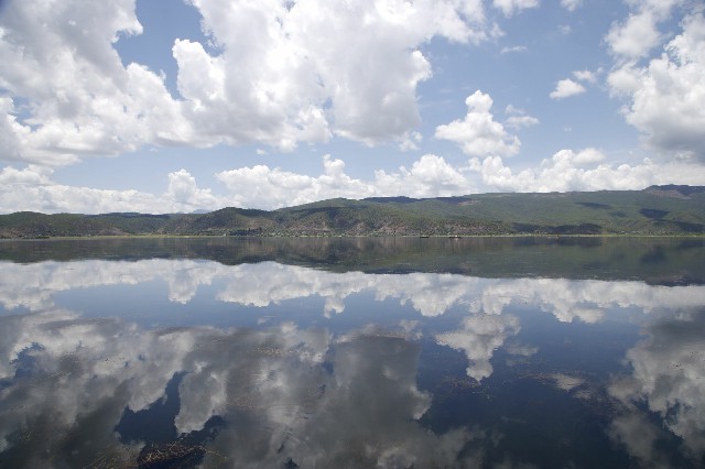 拼多多补单软件