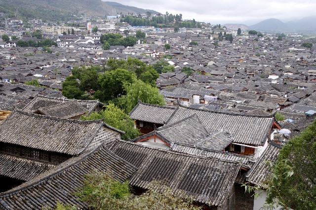 拼多多补单软件