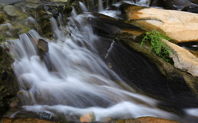 拼多多补单软件