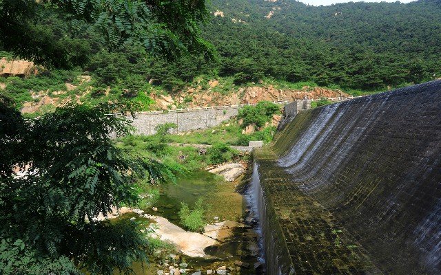 拼多多补单软件