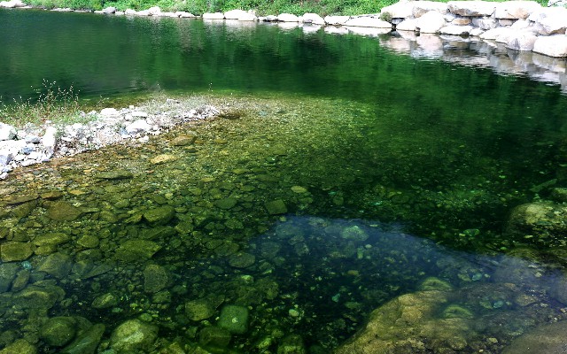 拼多多补单软件