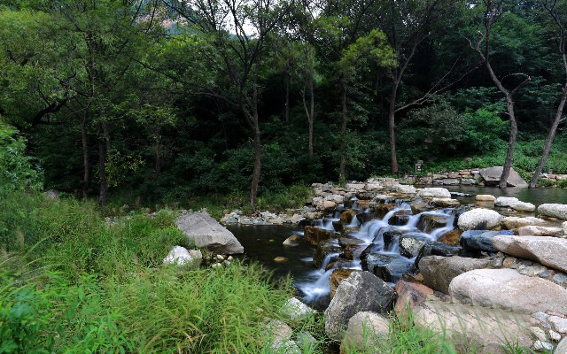 拼多多补单软件