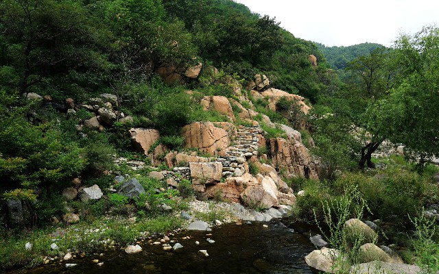 拼多多补单软件