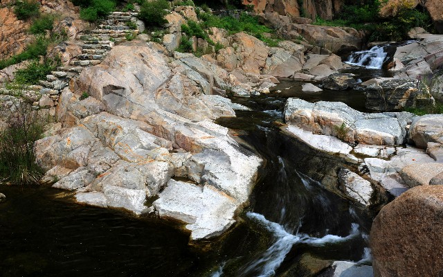 拼多多补单软件