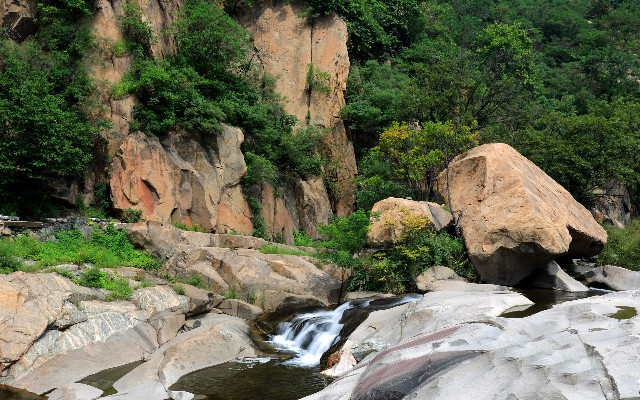 拼多多补单软件