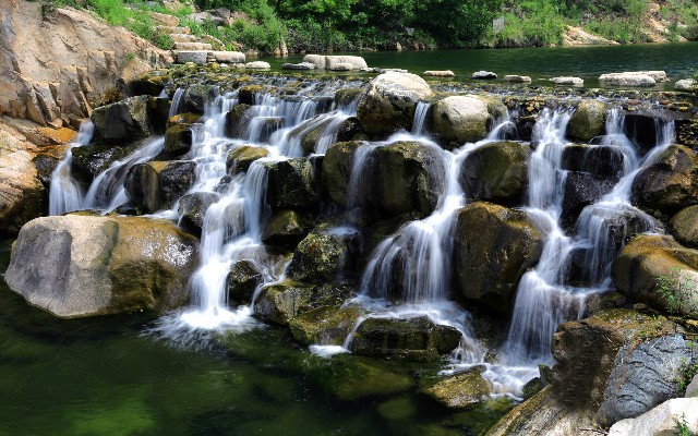 拼多多补单软件
