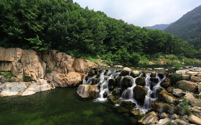 拼多多补单软件