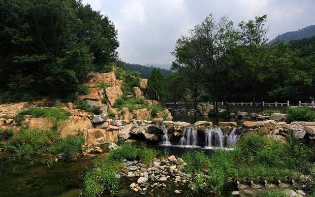 拼多多补单软件