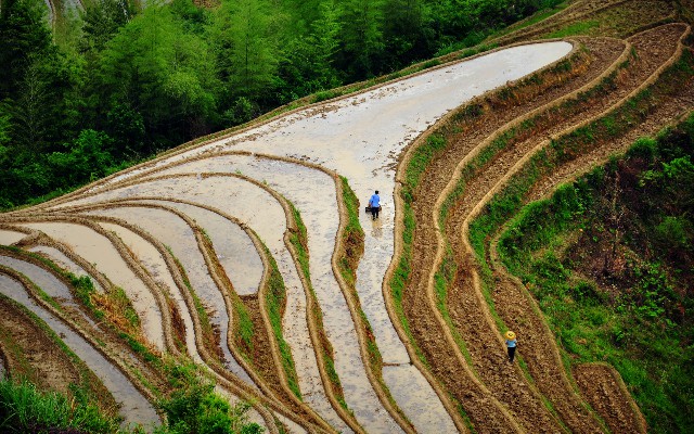 拼多多补单软件