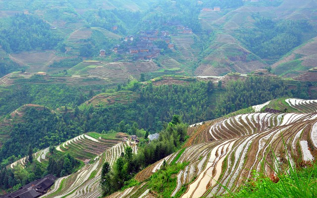 拼多多补单软件