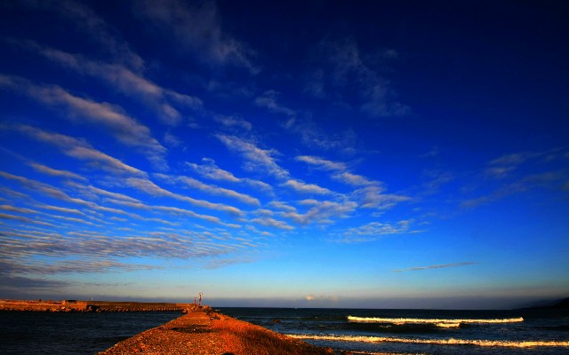 拼多多补单软件