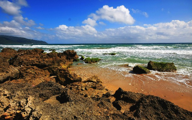 拼多多补单软件