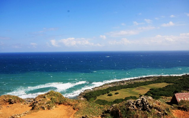 拼多多补单软件