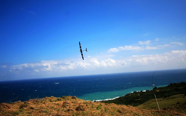 拼多多补单软件