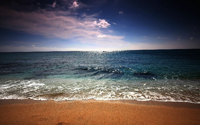 拼多多补单软件