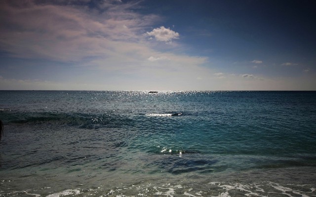 拼多多补单软件