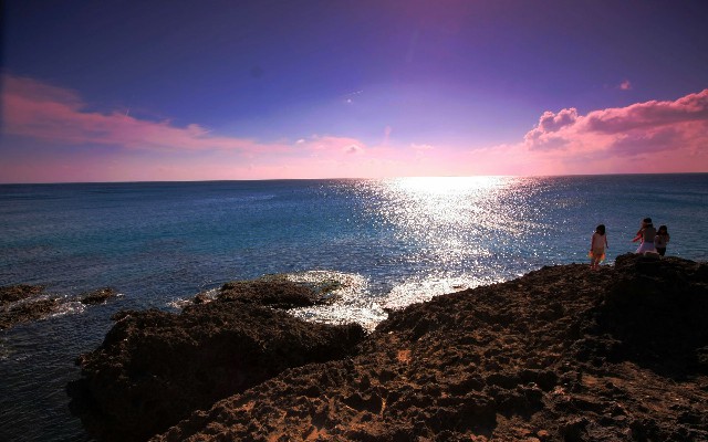 拼多多补单软件