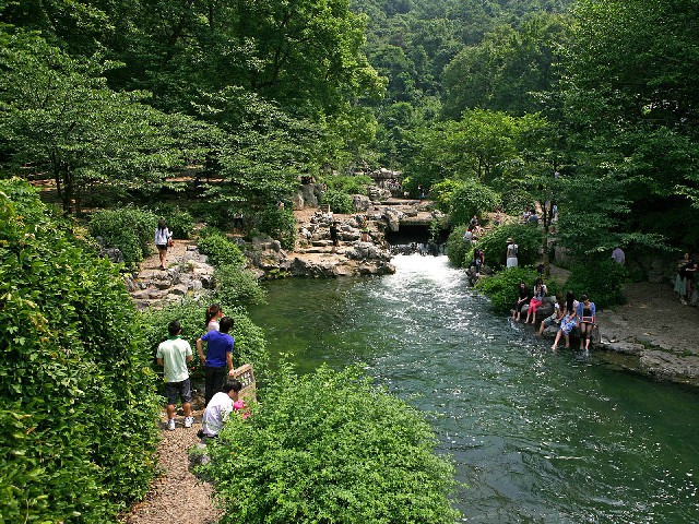 拼多多补单软件