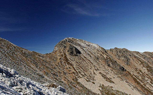 拼多多补单软件