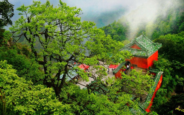 拼多多补单软件