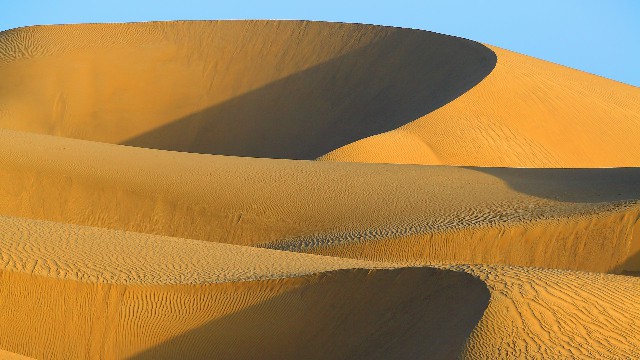 拼多多补单软件