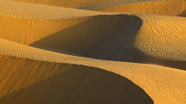 拼多多补单软件