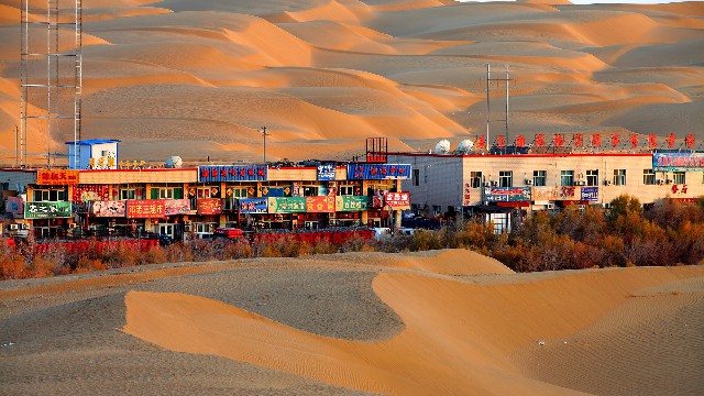 拼多多补单软件