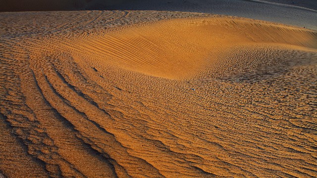 拼多多补单软件