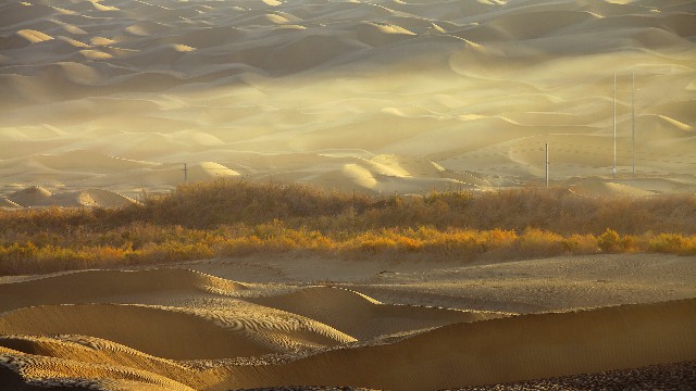 拼多多补单软件
