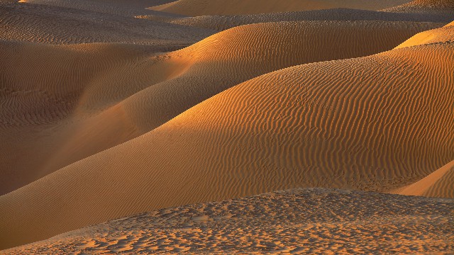 拼多多补单软件