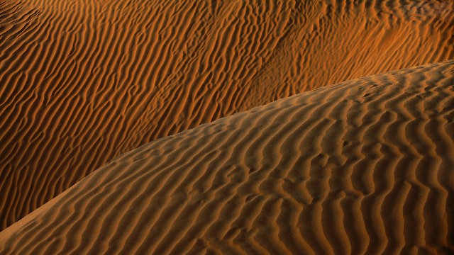 拼多多补单软件