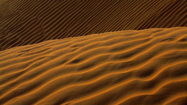 拼多多补单软件