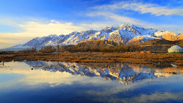 拼多多补单软件