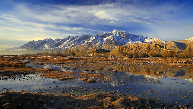 拼多多补单软件