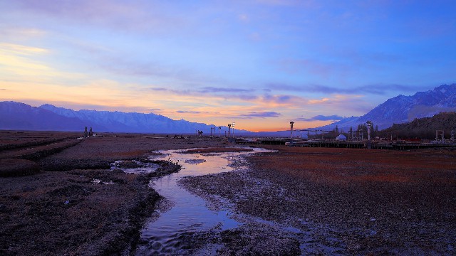 拼多多补单软件