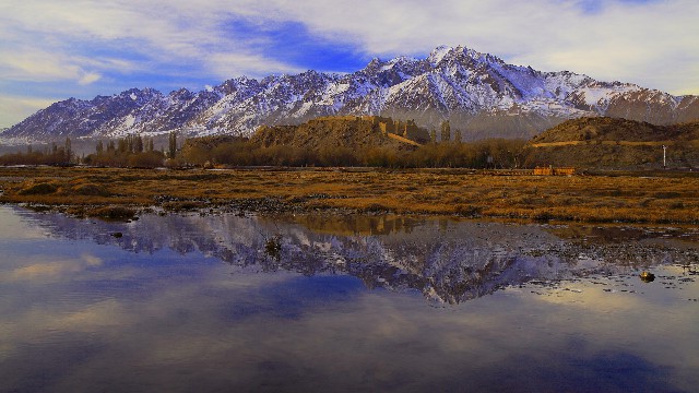 拼多多补单软件