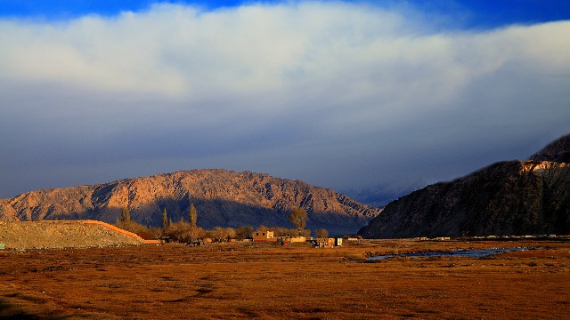 拼多多补单软件