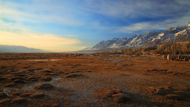 拼多多补单软件