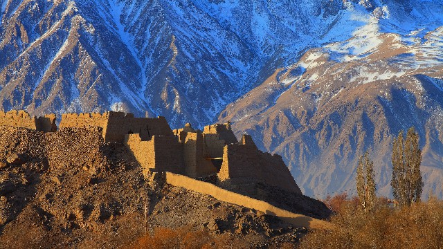 拼多多补单软件