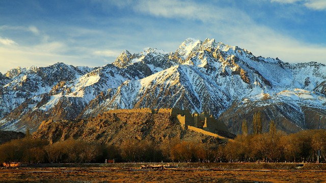 拼多多补单软件