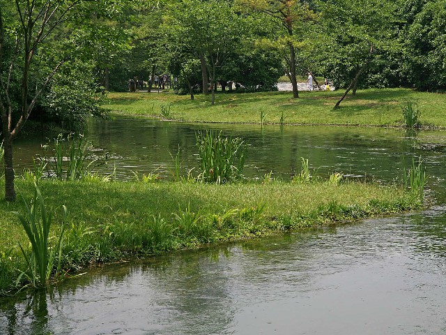 拼多多补单软件