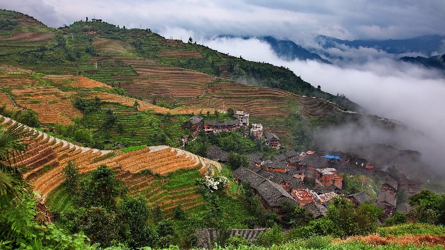 拼多多补单软件