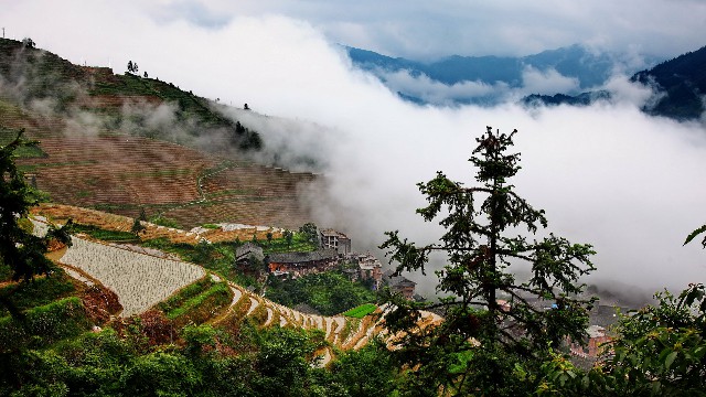 拼多多补单软件